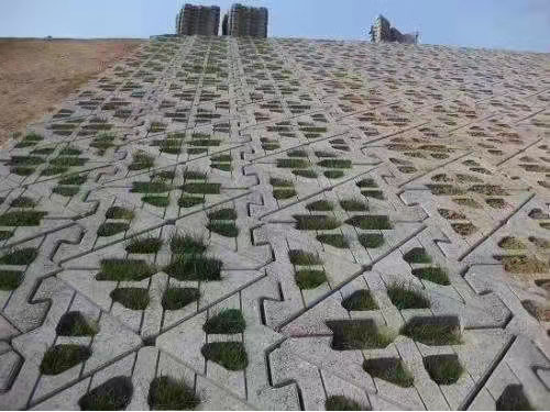 生態(tài)連鎖塊實(shí)例 (2)